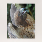 Roodstaartbuizerd Roofvogel Dier Legpuzzel (Verticaal)