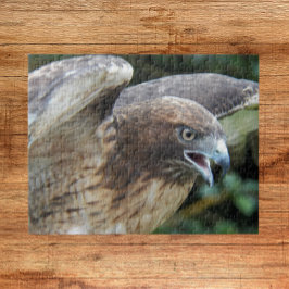 Roodstaartbuizerd Roofvogel Dier Legpuzzel