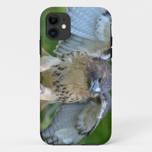Roodstaartbuizerd spreidt vleugels Case-Mate iPhone case (Achterkant)