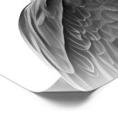 Roodstaartbuizerd Vogel Portret Zwart wit Poster (Hoek)