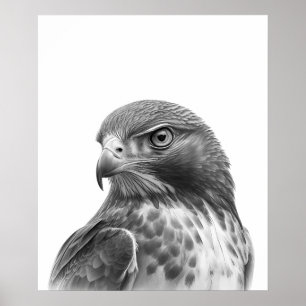 Roodstaartbuizerd Vogel Portret Zwart wit Poster