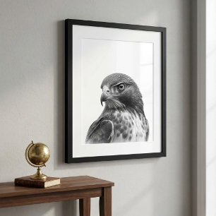 Roodstaartbuizerd Vogel Portret Zwart wit Poster