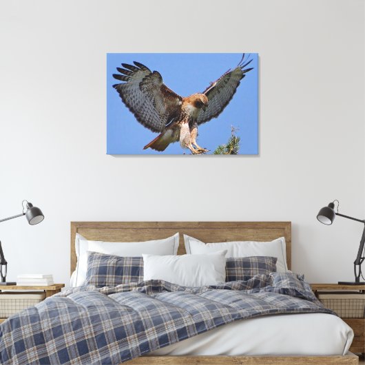 Roodstaartbuizerd Zachte Landing Stretch Canvas Pr Afdruk (Insitu (Slaapkamer))