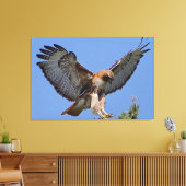 Roodstaartbuizerd Zachte Landing Stretch Canvas Pr Afdruk (Insitu (Woonkamer))