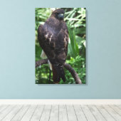 Roodstaartbuizerdfoto op gespannen canvas afdruk (Insitu (Houten vloer))