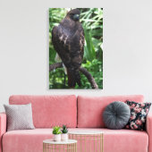 Roodstaartbuizerdfoto op gespannen canvas afdruk (Insitu (Woonkamer))