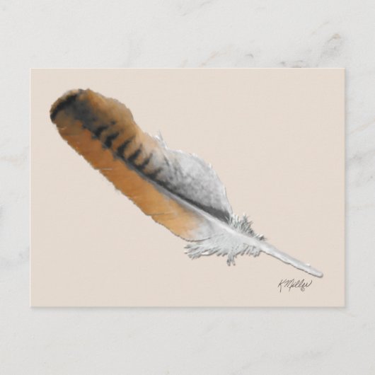 Roodstaartbuizerdveer Briefkaart (Voorkant)