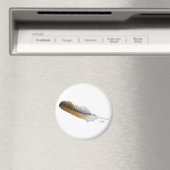 Roodstaartbuizerdveer Magneet (Insitu (Vaatwasser))