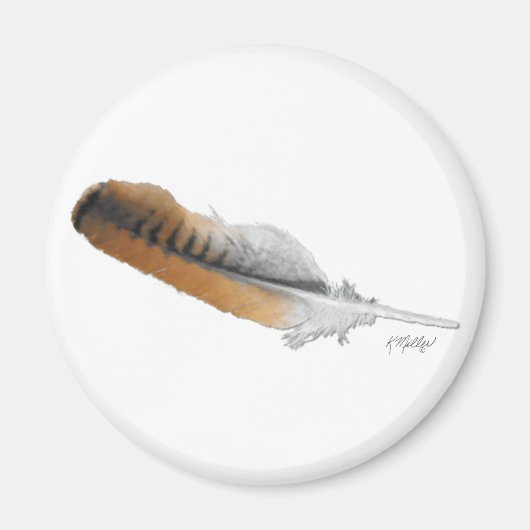 Roodstaartbuizerdveer Magneet (Voorkant)