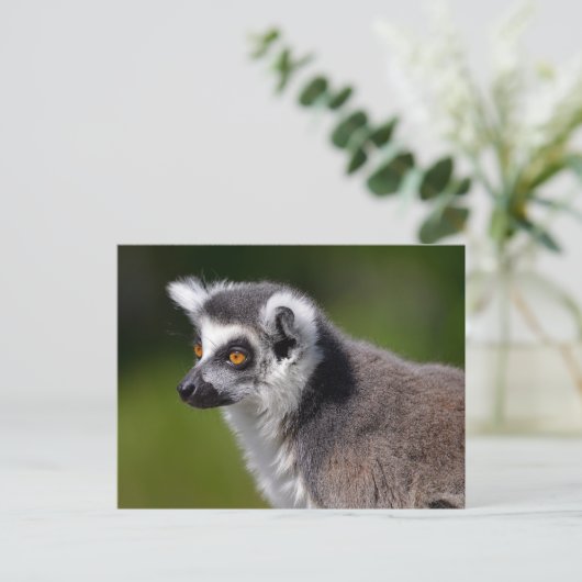 Roodstaartcitroenmoer Briefkaart (Staand voorkant)