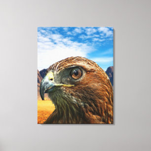 Roodstaarthaai Canvas Afdruk