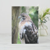 Roodstaarthaai Feestdagenkaart (Staand voorkant)