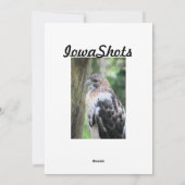 Roodstaarthaai Feestdagenkaart (Achterkant)