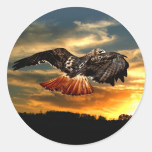 Roodstaarthaai Ronde Sticker
