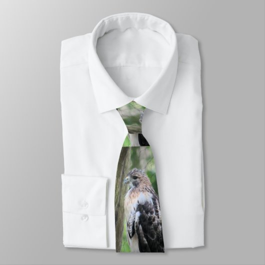 Roodstaarthaai Stropdas (Gebonden)