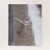 Roodstaarthaai tijdens de vlucht legpuzzel (Verticaal)