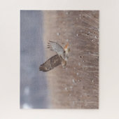 Roodstaarthaai tijdens de vlucht legpuzzel (Verticaal)