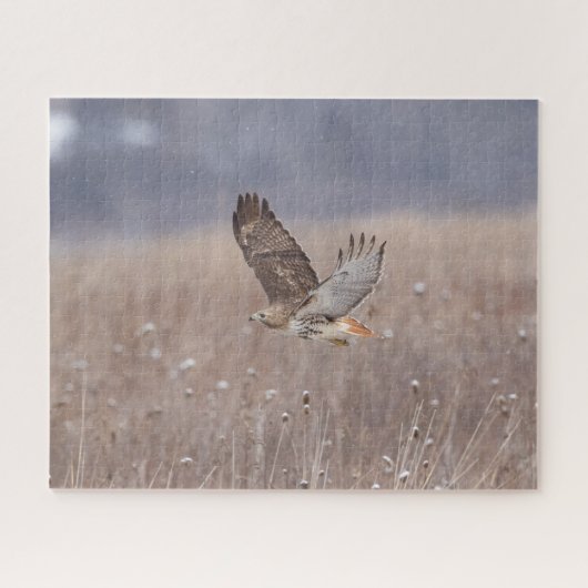 Roodstaarthaai tijdens de vlucht legpuzzel (Horizontaal)