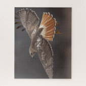 Roodstaarthaai tijdens de vlucht legpuzzel (Verticaal)