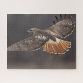 Roodstaarthaai tijdens de vlucht legpuzzel (Horizontaal)