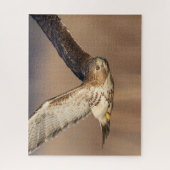 Roodstaarthaai tijdens de vlucht legpuzzel (Verticaal)