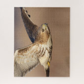 Roodstaarthaai tijdens de vlucht legpuzzel (Verticaal)