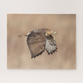 Roodstaarthaai tijdens de vlucht legpuzzel