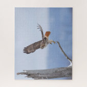 Roodstaarthaai tijdens de vlucht legpuzzel (Verticaal)