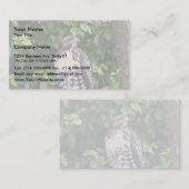 Roodstaarthaai Visitekaartje (Voorkant / Achterkant)