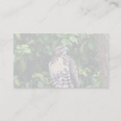 Roodstaarthaai Visitekaartje (Achterkant)