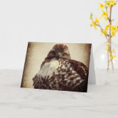 roodstaarthaai-Wenskaart Kaart (Gele Bloem)