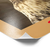 Roodstaarthaaienfoto Foto Afdruk (Hoek)