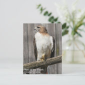 RoodstaartHawk Briefkaart (Staand voorkant)