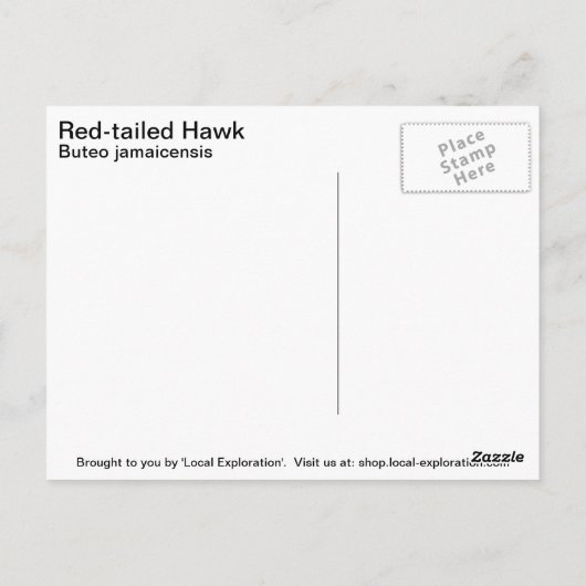 RoodstaartHawk Briefkaart (Achterkant)