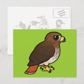 RoodstaartHawk Briefkaart (Voorkant / Achterkant)