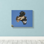 RoodstaartHawk Canvas Afdruk (Insitu (Houten vloer))