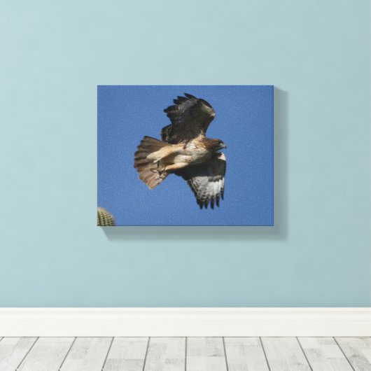 RoodstaartHawk Canvas Afdruk (Insitu (Houten vloer))