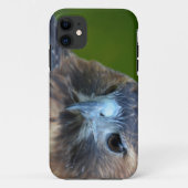 RoodstaartHawk Case-Mate iPhone Case (Achterkant)
