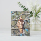 RoodstaartHawk Glass Briefkaart (Staand voorkant)