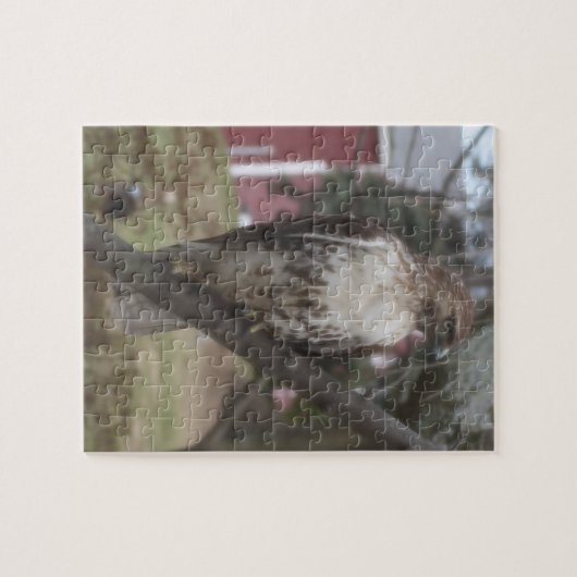 RoodstaartHawk in de boom Legpuzzel (Horizontaal)