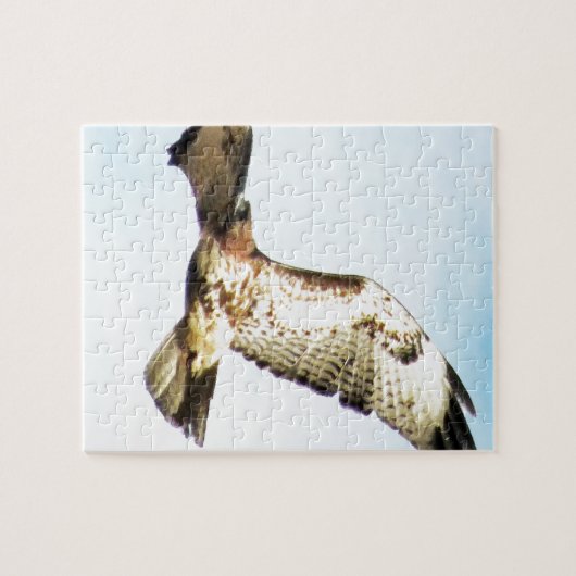 RoodstaartHawk in vliegfoto Legpuzzel (Horizontaal)