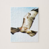RoodstaartHawk in vliegfoto Legpuzzel (Verticaal)