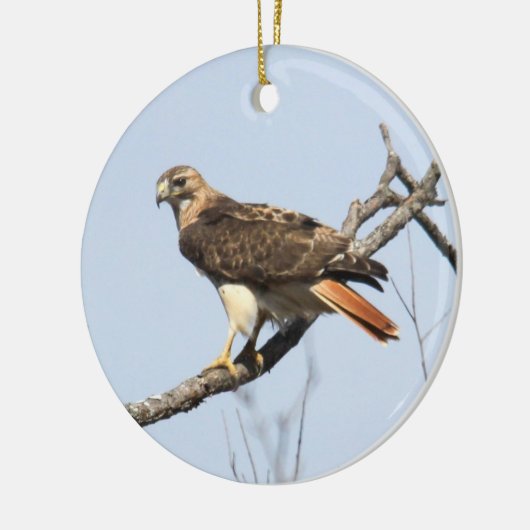 RoodstaartHawk Keramisch Ornament (Links)