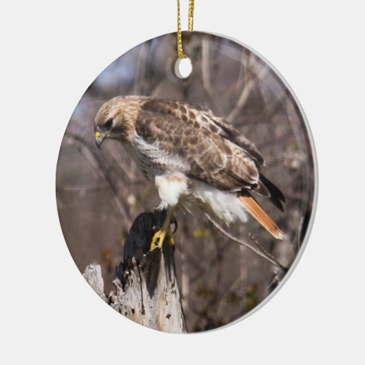 RoodstaartHawk Keramisch Ornament (Links)