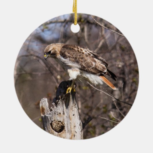 RoodstaartHawk Keramisch Ornament (Achterkant)