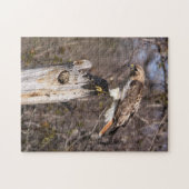 RoodstaartHawk Legpuzzel (Horizontaal)