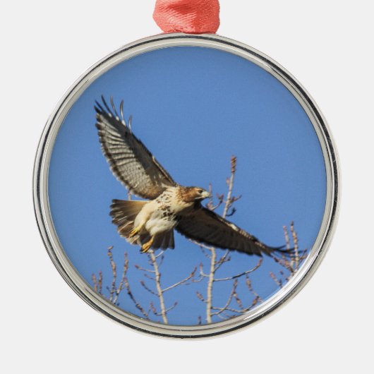 RoodstaartHawk Metalen Ornament (Voorkant)