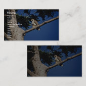 RoodstaartHawk, onvolgroeid Visitekaartje (Voorkant / Achterkant)