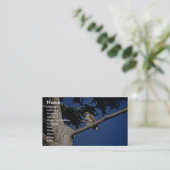 RoodstaartHawk, onvolgroeid Visitekaartje (Staand voorkant)