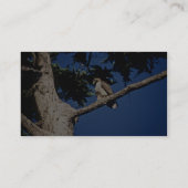 RoodstaartHawk, onvolgroeid Visitekaartje (Achterkant)